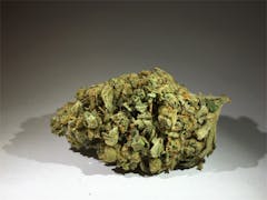 User uploaded image of Royal Haze