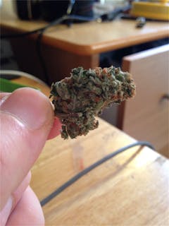 User uploaded image of Royal Haze
