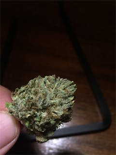 User uploaded image of Royal Highness