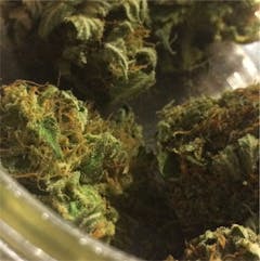 User uploaded image of Royal Kush