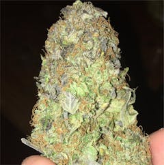 User uploaded image of Royal Kush