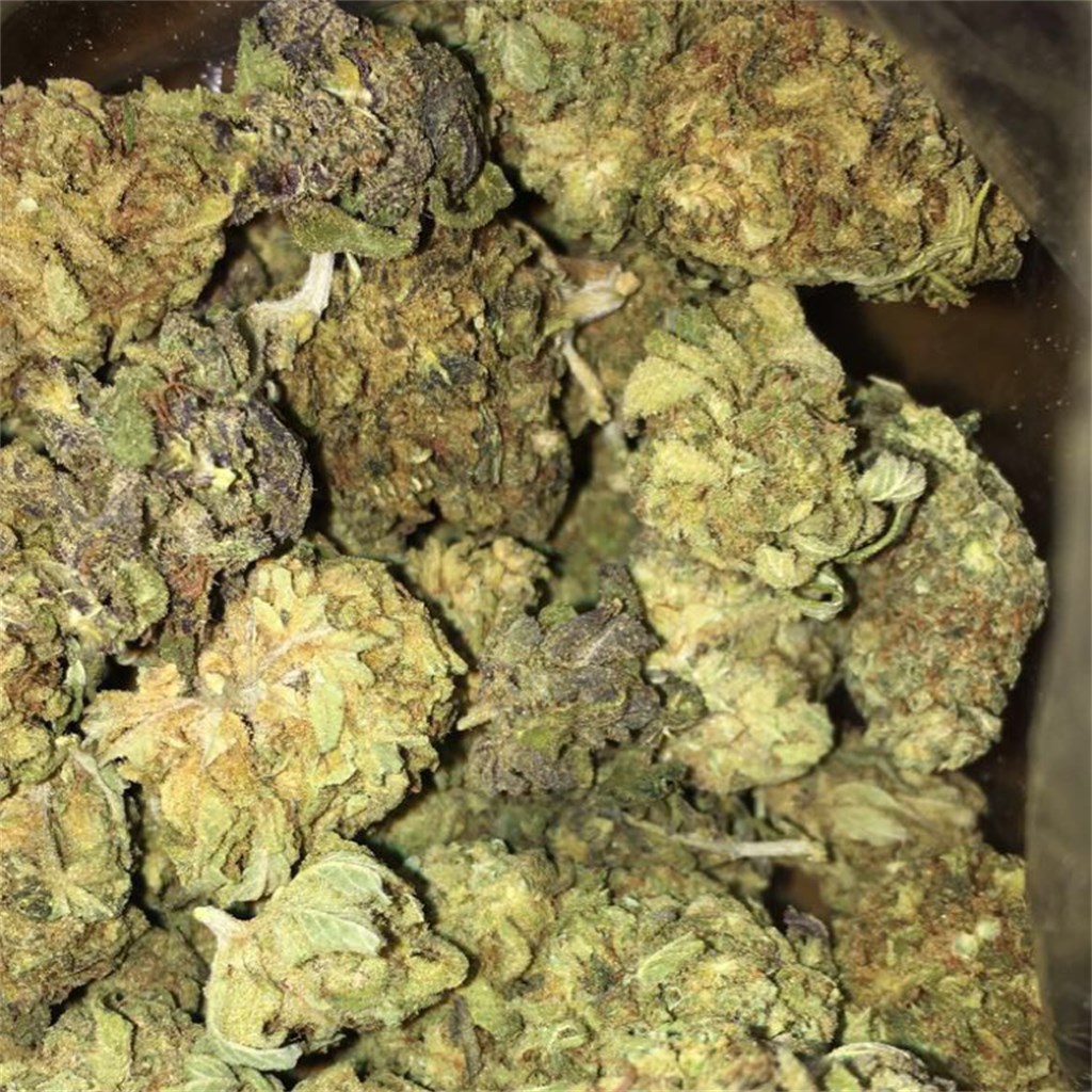 og royal