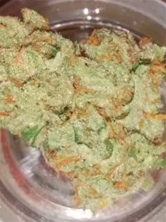 User uploaded image of RudeBoi OG