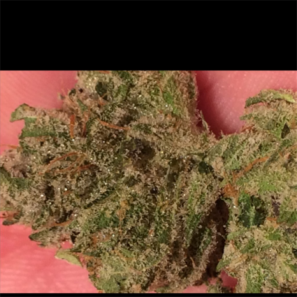 Rudeboi OG 23.19 THC 12/23/20 Cultivator: Bedford Grow REVIEW : r/ILTrees