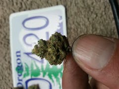 User uploaded image of Rug Burn OG