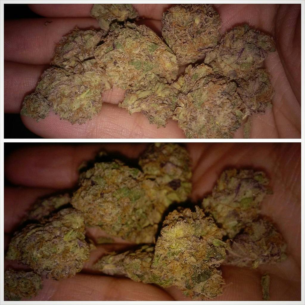 Rug Burn OG aka Rug Burn, Rug Burn Kush, Rug Burn OG Kush Weed Strain