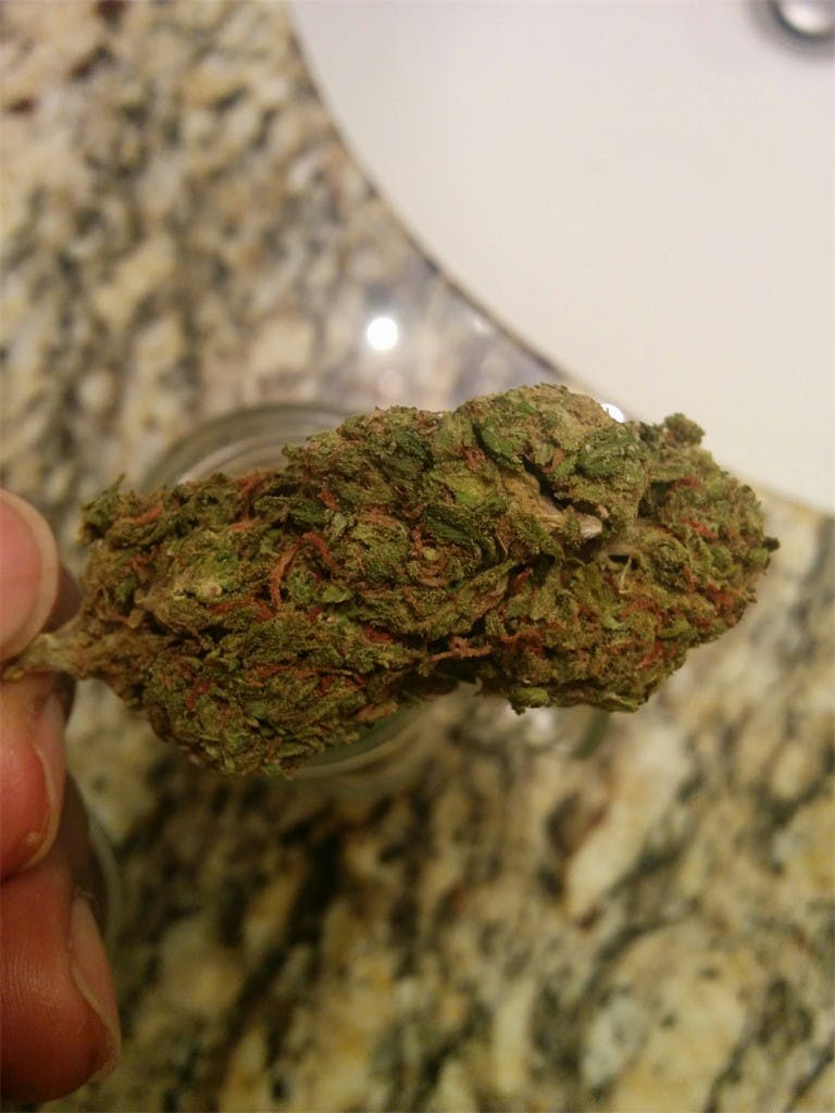 Rug Burn OG aka Rug Burn, Rug Burn Kush, Rug Burn OG Kush Weed Strain
