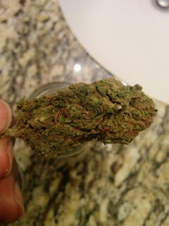 User uploaded image of Rug Burn OG