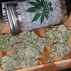 User uploaded image of Russian Assassin