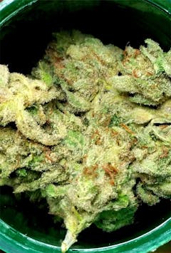 User uploaded image of Russian Assassin