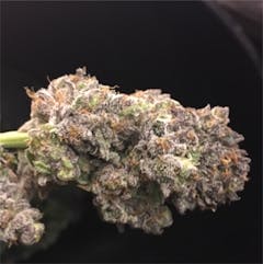 User uploaded image of Sage and Sour