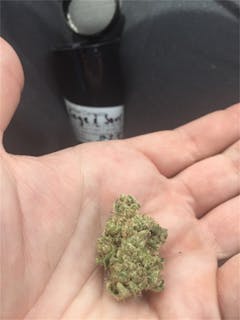 User uploaded image of Sage and Sour