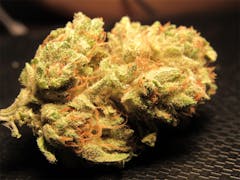 User uploaded image of Sage and Sour