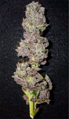 User uploaded image of Sage and Sour