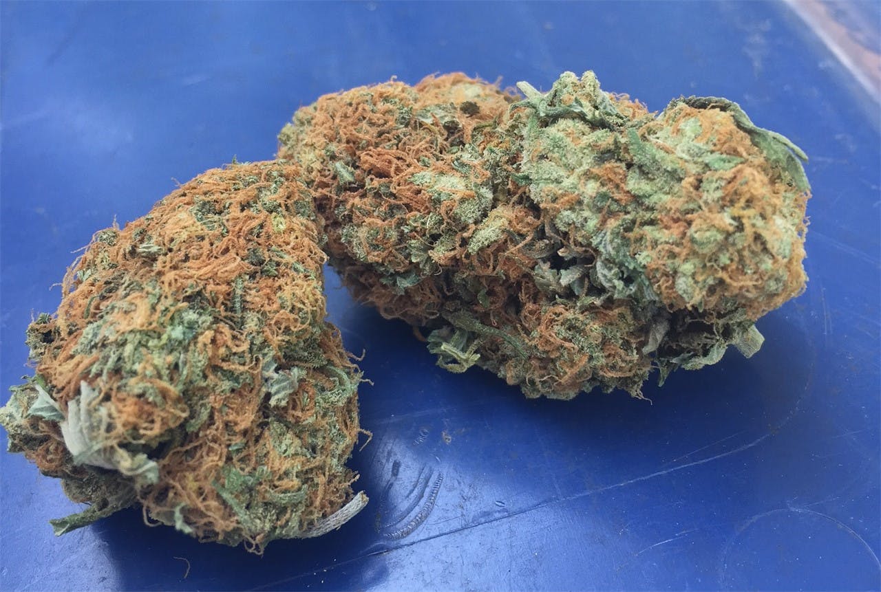 Photos of SAGE Weed Strain Buds Leafly