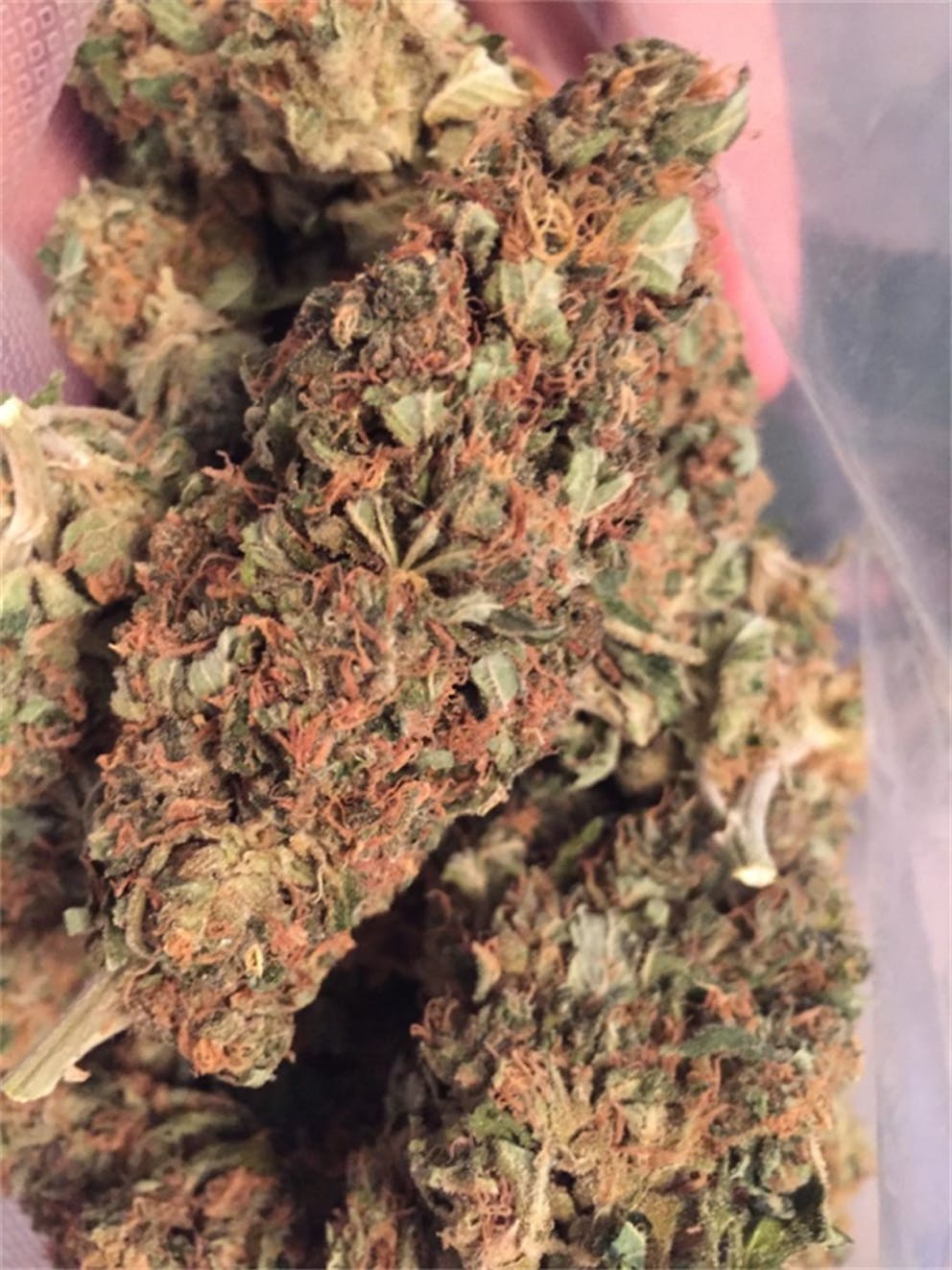 Photos of SAGE Weed Strain Buds Leafly