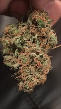 User uploaded image of SAGE