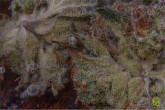 User uploaded image of SAGE