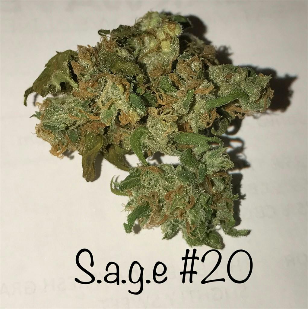 SAGE Weed Strain Information Leafly