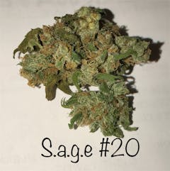 User uploaded image of SAGE