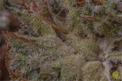 User uploaded image of SAGE