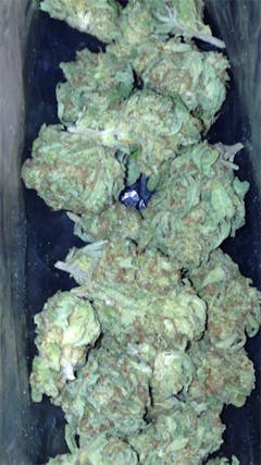 User uploaded image of Salmon River OG
