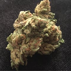 User uploaded image of Salmon River OG