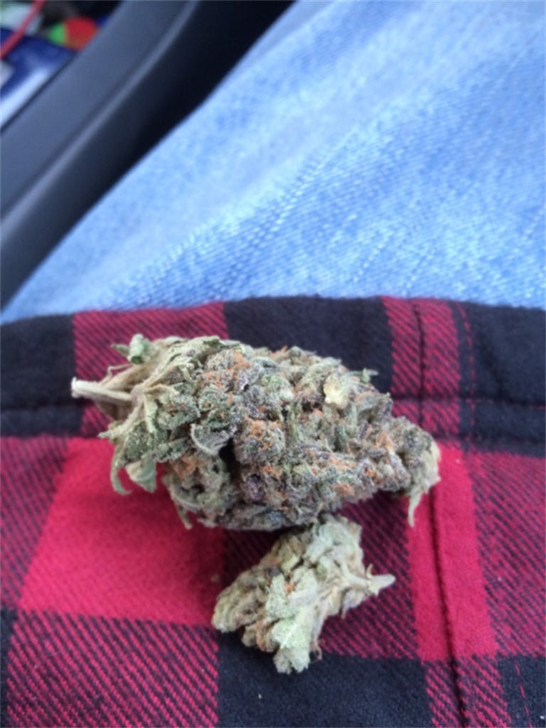 Salmon River OG aka Salmon River OG Kush Weed Strain Information Leafly