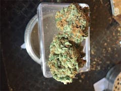 User uploaded image of Santa Maria