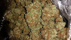 User uploaded image of Santa Maria