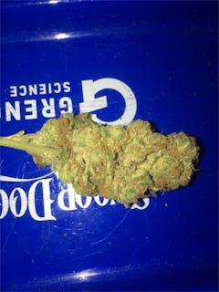 User uploaded image of Santa Maria