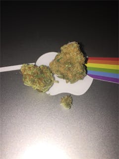 User uploaded image of Santa Maria