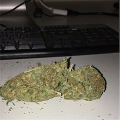 User uploaded image of Santa Maria