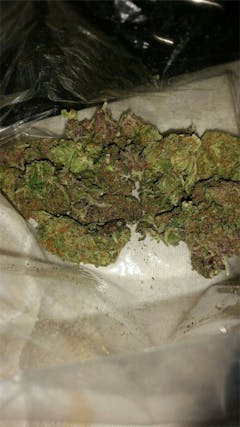 User uploaded image of Sapphire Scout