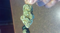 User uploaded image of Sapphire Star