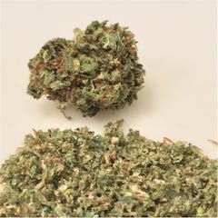 User uploaded image of Satori