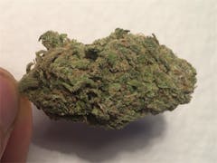 User uploaded image of Saturn OG