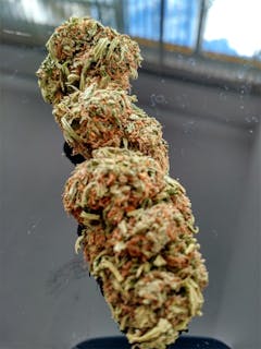 User uploaded image of Savant's Grail