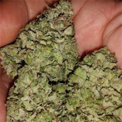 User uploaded image of Savant's Grail