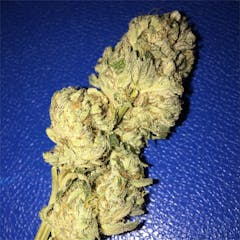 User uploaded image of Scooby Snacks