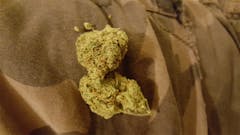 User uploaded image of Scooby Snacks