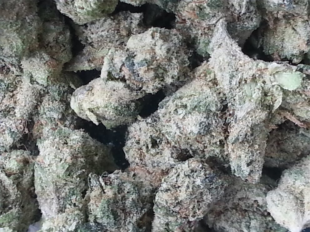 Photos of Scooby Snacks Weed Strain Buds Leafly