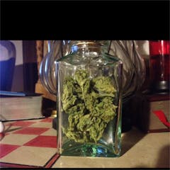 User uploaded image of Scooby Snacks