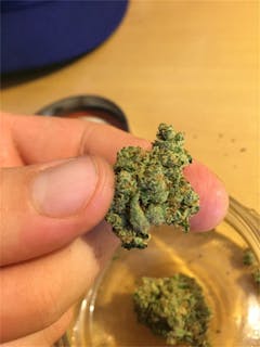 User uploaded image of Scooby Snacks