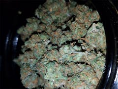 User uploaded image of Scooby Snacks