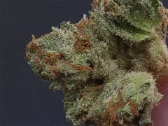 User uploaded image of Scott's OG