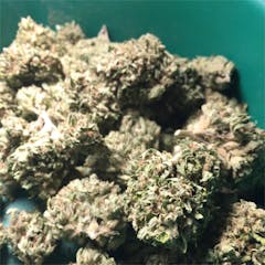 User uploaded image of Scott's OG