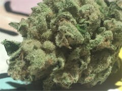 User uploaded image of Scott's OG