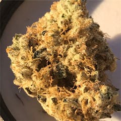 User uploaded image of Scout's Honor