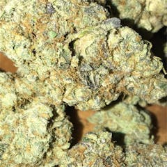 User uploaded image of Scout's Honor